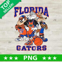 Florida Gators Baseball PNG featuring two illustrated baseball players, orange and blue uniforms, team lettering and baseball artwork